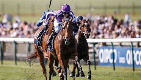 2000 guineas stakes betting site